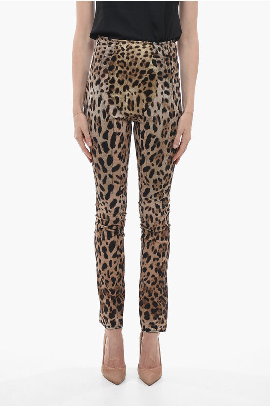 Dolce & Gabbana Animal Patterned Skinny Fit Pants In Animal Print
