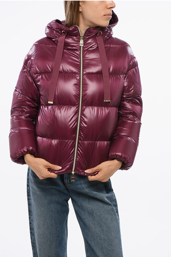 Herno Bomber Fit Down Jacket With Hood In Burgundy