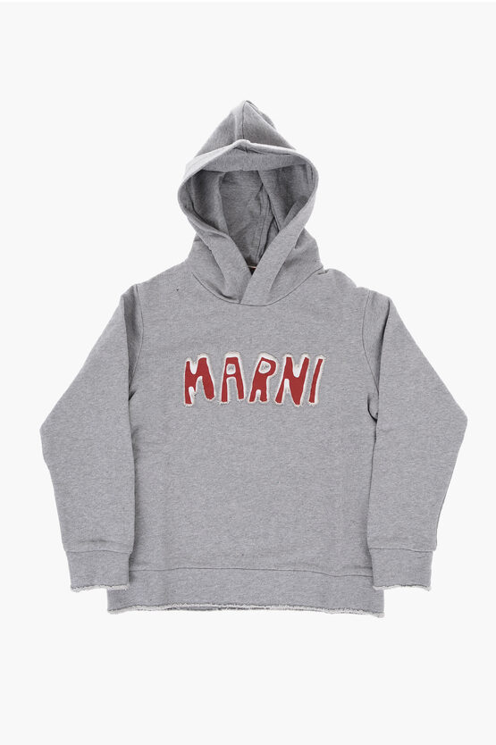 Shop Marni Brushed Cotton Hoodie With Contrasting Logo