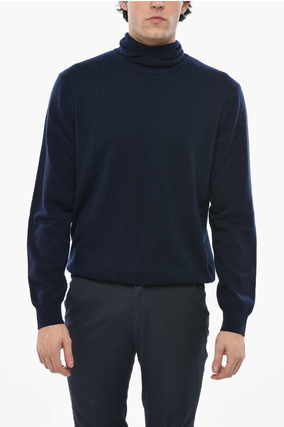 Cc Collection Turtl… - image