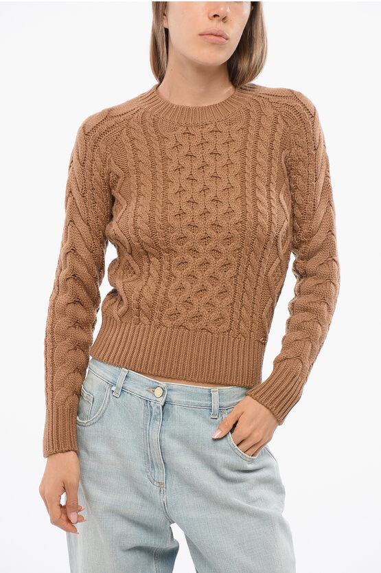 Elisabetta Franchi Crew Neck Cable Knit Wool Blend Sweater In Brown