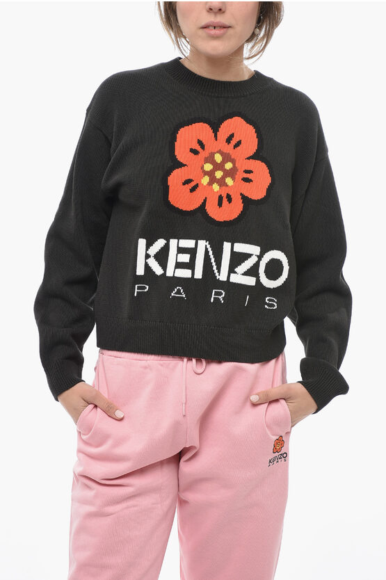 Shop Kenzo Crew Neck Poppy Cotton Sweater