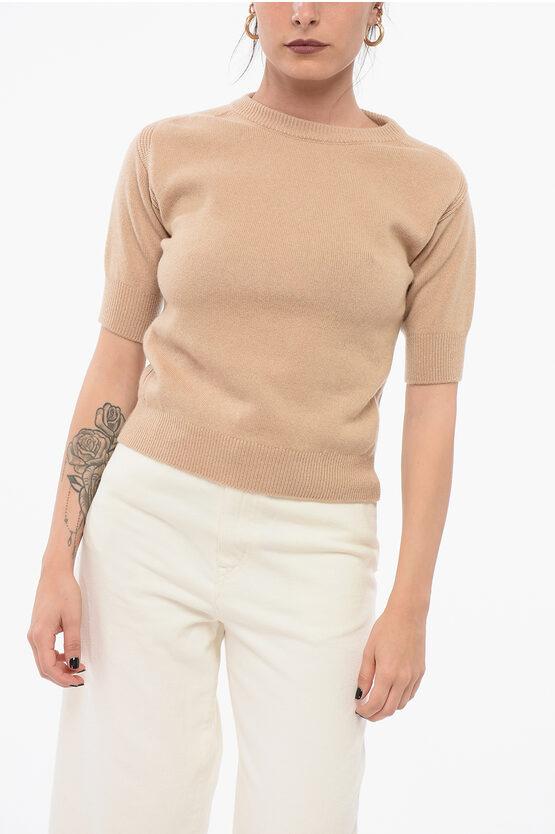 Sa Su Phi Crew Neck Pure Cashmere Sweater With Short Sleeves