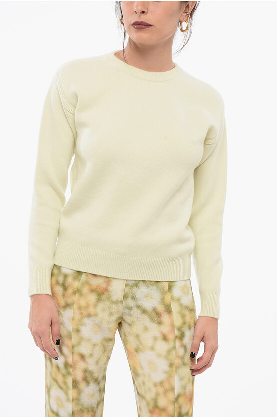 Sa Su Phi Crew Neck Pure Cashmere Sweater