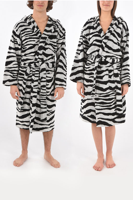 Roberto Cavalli Home Zebra Patterned Cotton Bathrobe With Hood In Animal Print