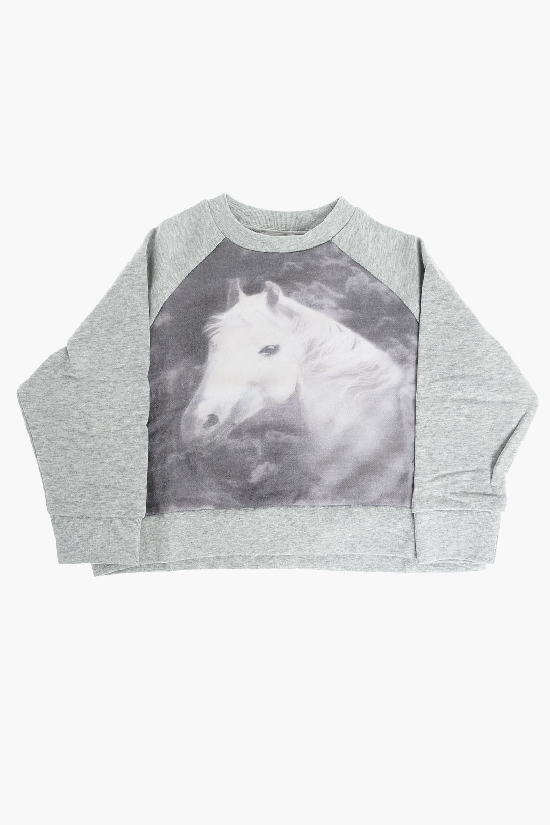 Stella McCartney Kids Horse Printed Crew neck Sweatshirt girls Glamood Outlet