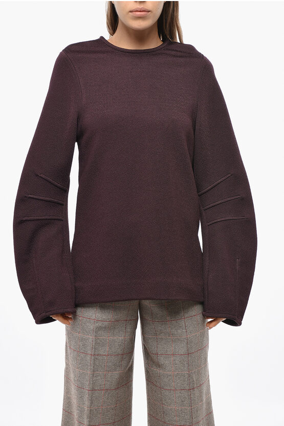 Jil Sander Long-sleeved Plum Top With Back Zip In Brown