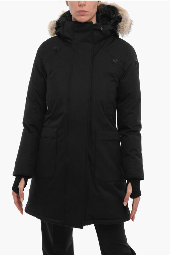 Nobis Merideth Parka With Removable Coyote Fur Grösse M In Black