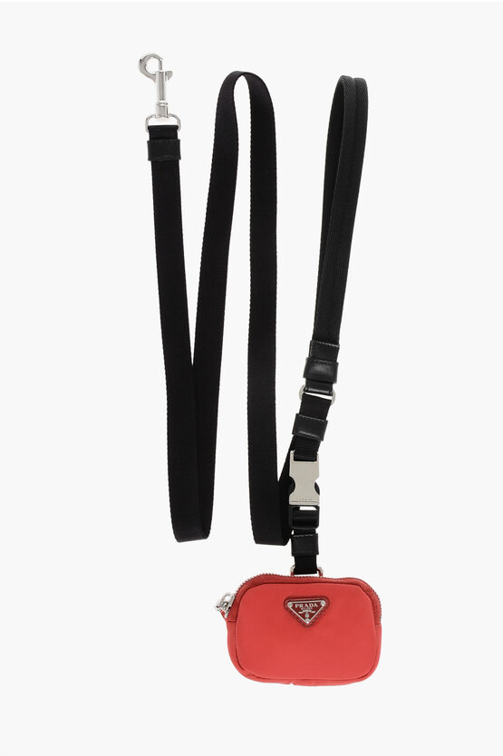 Nylon Dog Leash Wit…