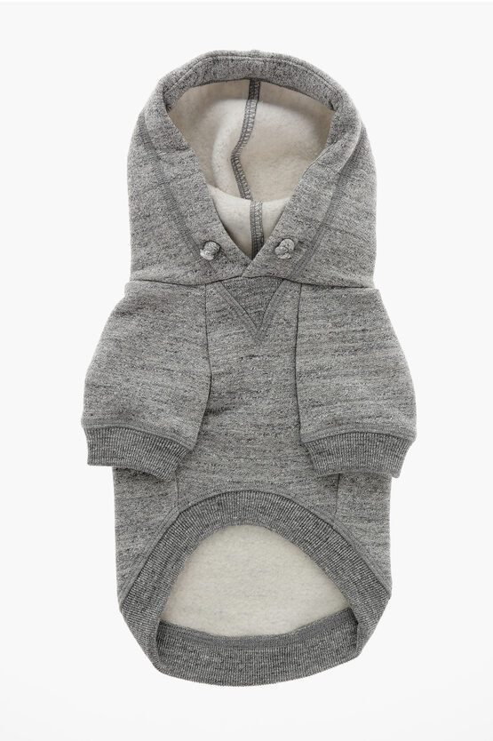 Dsquared2 Poldo Fleeced Jersey Dog Hoodie
