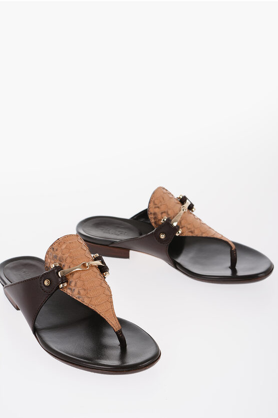 Gucci Python Leather Thong Flats With Buckle Embellishment In Black