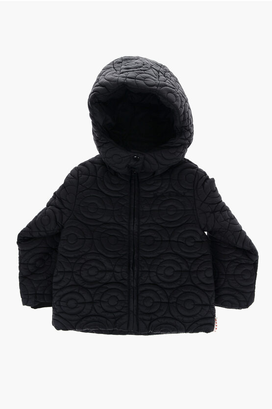 Shop Marni Quilted Nylon Padded Jacket