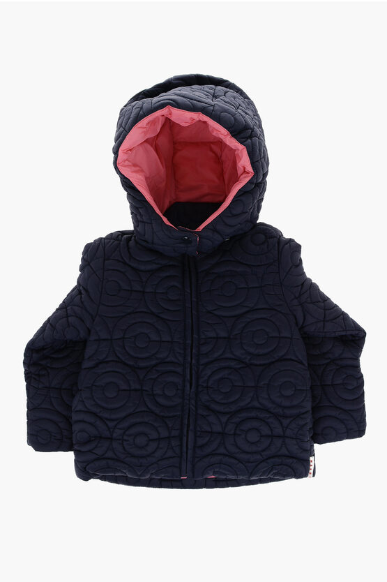 Shop Marni Quilted Nylon Padded Jacket