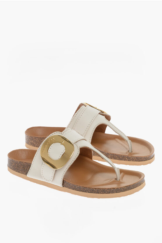 Chloé See By Leather Thong Sandals With Golden Maxi Buckle In Multi