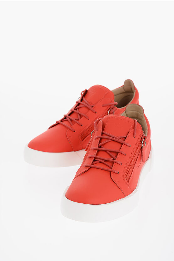 Shop Giuseppe Zanotti Solid Color Low Top Sneakers With Contrasting Sole