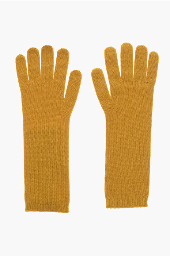 Max Mara Solid Color Wool And Cashmere Conio Gloves In Brown