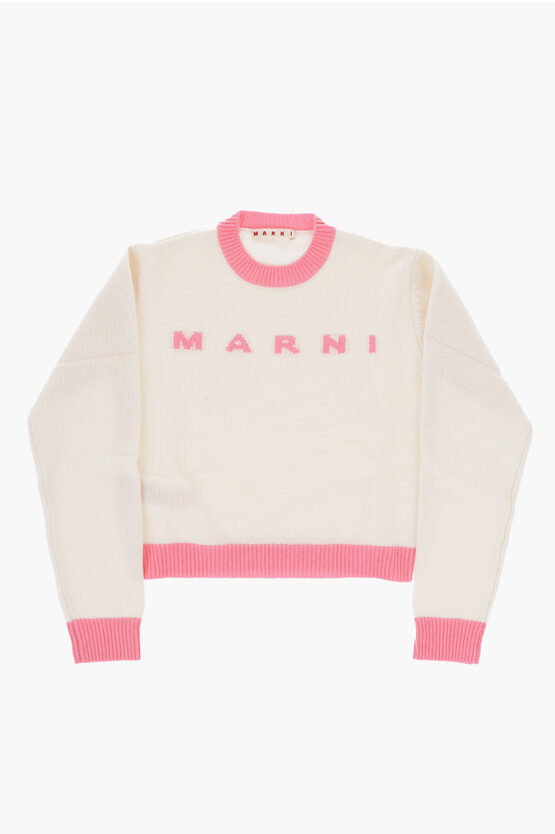 Shop Marni To-tone Wool And Cashmere Crew-neck Sweater