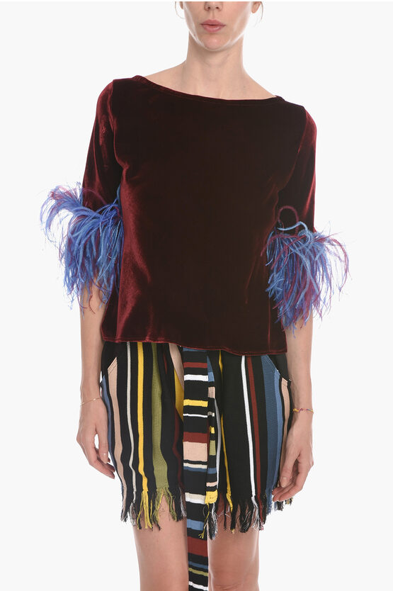 Stephan Janson Velour T-shirt With 3/4 Sleeves And Feathers Detail In Burgundy