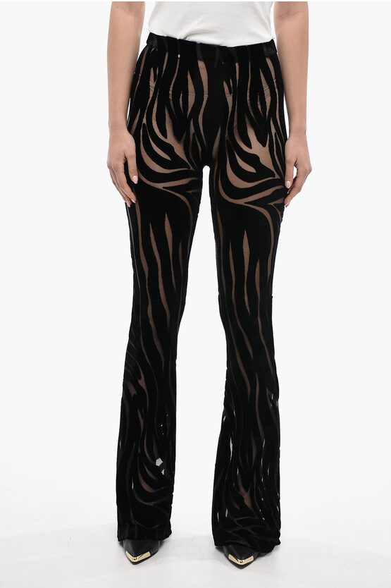 Versace Velvet Flared Pants With Zebra Pattern In Black