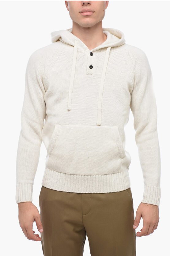 Shop Altea Virgin Wool Hoodie With Buttoned Neck