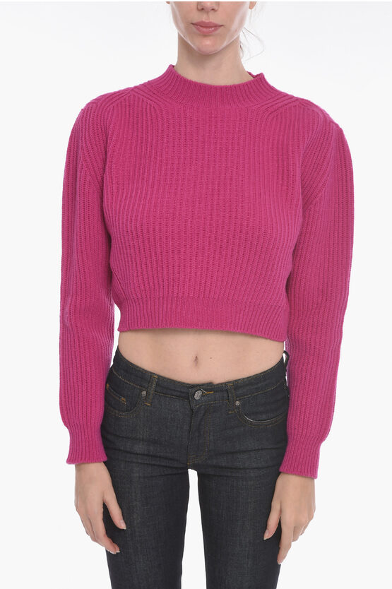 The Andamane Wool And Cashmere Blend Cropped Sweather In Purple