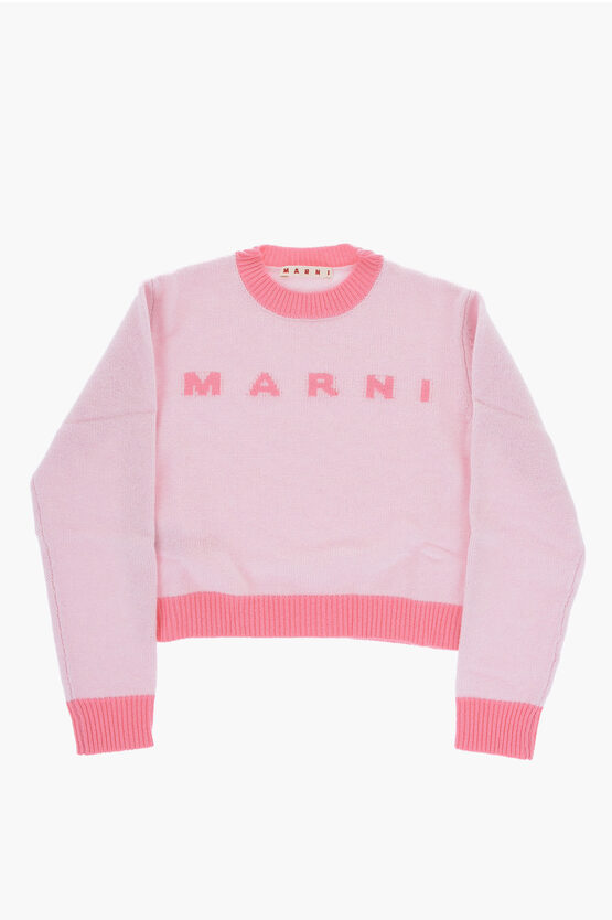 Shop Marni Wool And Cashmere Crew-neck Sweater With Embroidered Logo